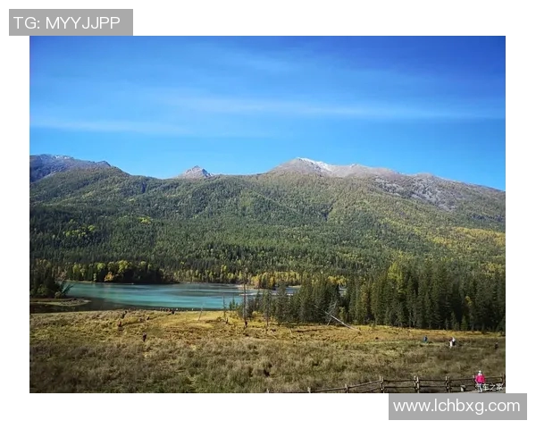 中央海岸与布里斯的精彩对决直播全程回顾与分析